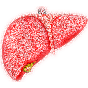 Read more about the article The Alarming Rise of Non-Alcoholic Fatty Liver Disease in India