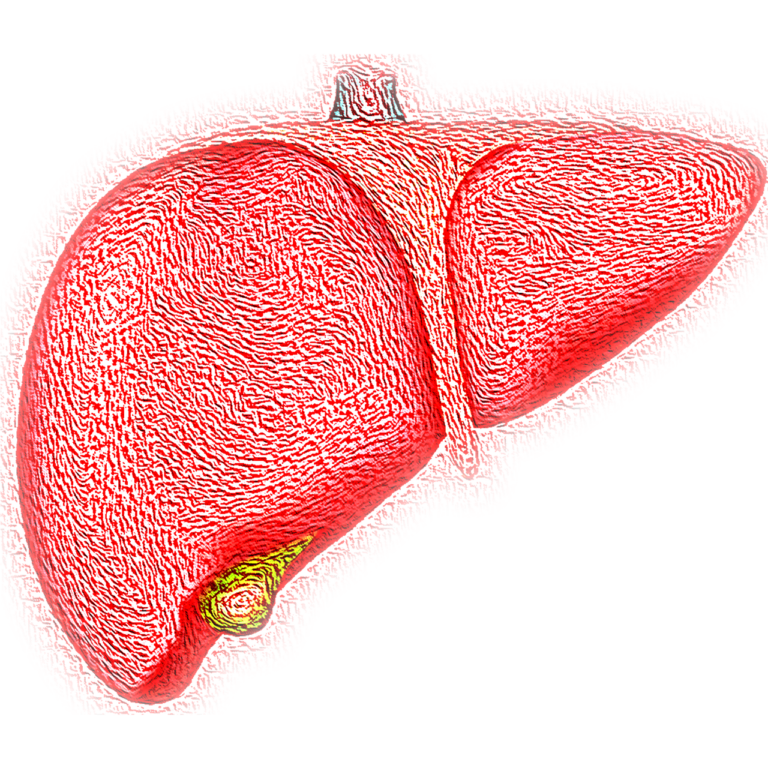 The Alarming Rise of Non-Alcoholic Fatty Liver Disease in India