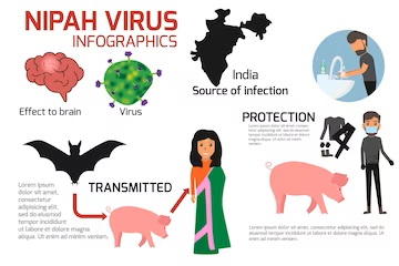 Nipah Virus in India: A Comprehensive Look at the Symptoms of the New Virus ‍