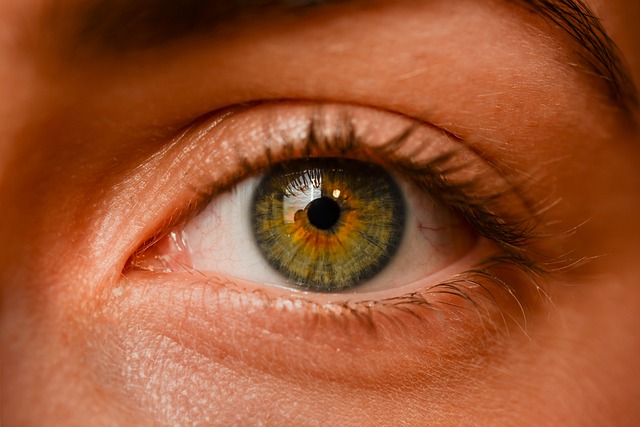 An image with a close-up of an eye and the title "Unveiling the Hidden Dangers: 7 Eye Cancer Symptoms You Should Never Ignore" in bold text.