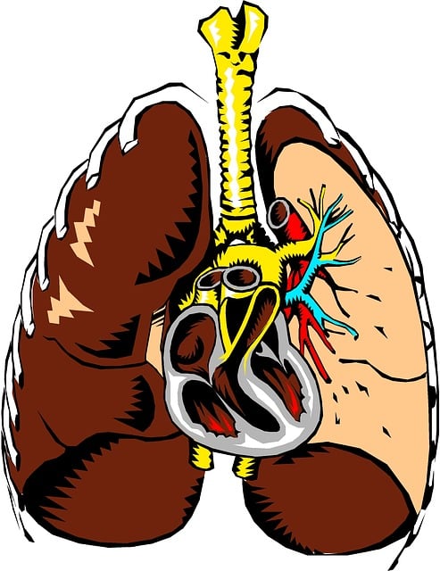 Read more about the article The Comprehensive Guide to Identifying 4 Types of Heart Failure and Recognizing Pulmonary Edema ICD 10 Symptoms