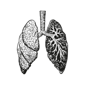 Read more about the article Unlocking the Code: Understanding COPD Classification