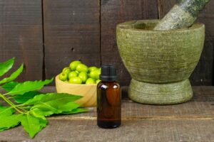 Read more about the article Promotion of Ayurveda and Government Efforts in Alternative Medicine: Ayushman Bharat, AYUSH Wellness, and Medical Tourism in India